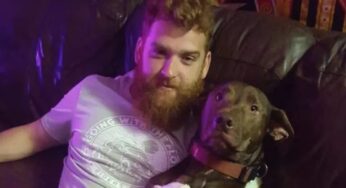 Usa – Cane calpesta fucile, parte un colpo e uccide il padrone 30enne
