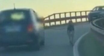 Carpi, cane trascinato al guinzaglio da un’auto in autostrada